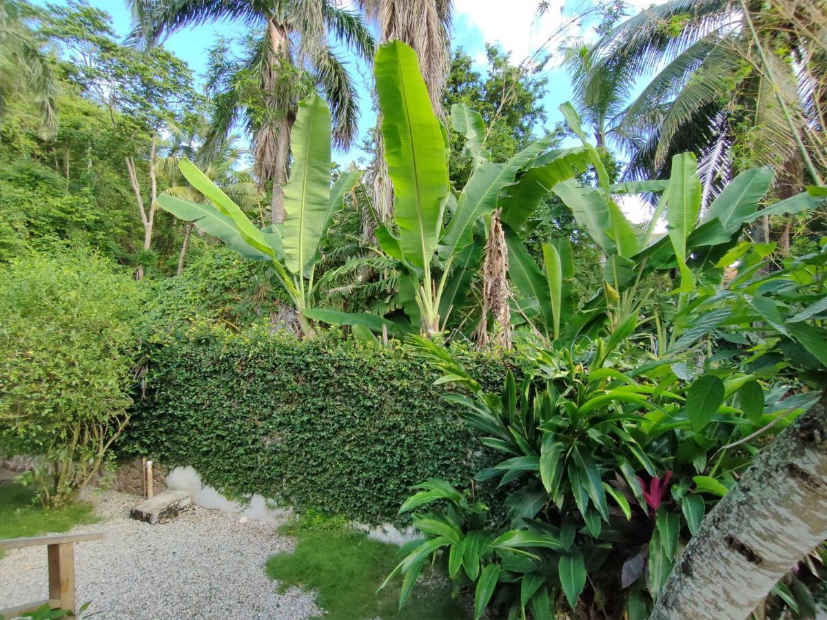House Jardin Del Caribe Aparthotel Las Terrenas Exterior photo